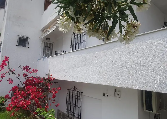 Pet friendly Sweet Dream Apartment Pefkochori
